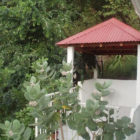 Studio De Charme Au Coeur Du Village, Vue Baie Terre-De-Haut Exterior foto