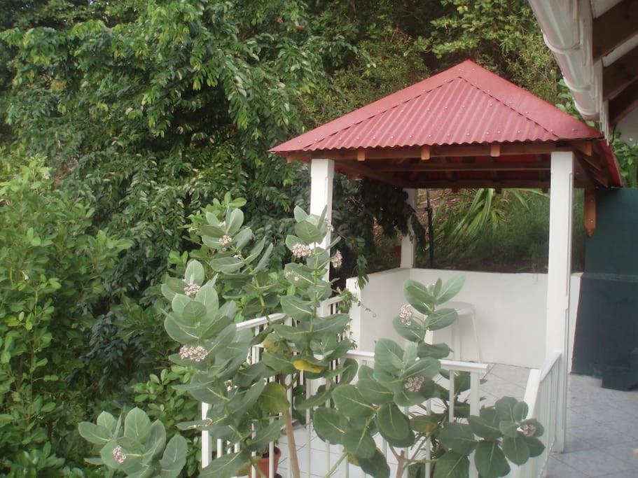 Studio De Charme Au Coeur Du Village, Vue Baie Terre-De-Haut Exterior foto